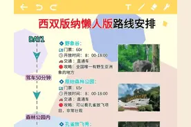 西双版纳三日游 超详避坑干货分享图片