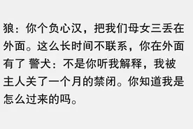 小狼狗出生自带编制！这究竟是怎么回事呢？咱们一探究竟！图片