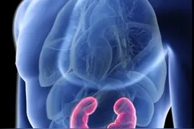 【深圳特区报】基因工程更加精准编辑生物体图片