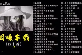 车载烟嗓歌曲精选，唱尽生活酸甜苦辣咸，唯有音乐能治愈心酸图片