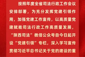 陕西省司法厅召开党的建设工作领导小组会议图片