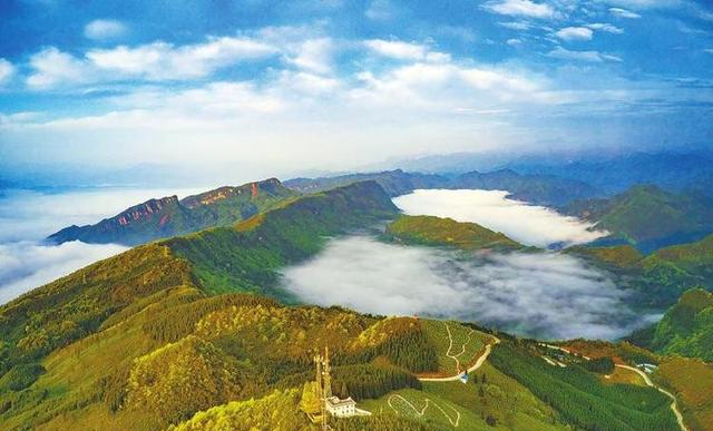 世界上只有中国四川省雅安市才有的 “全球独一无二的 5 大奇景”