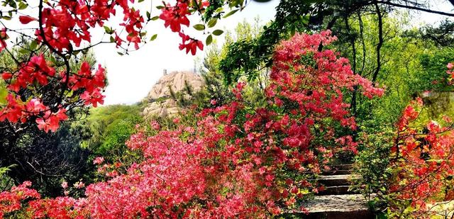 精彩演艺轮番炸场！这个假期，五莲等你来！