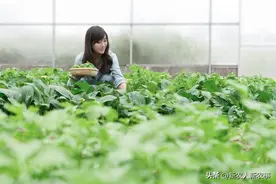 打药前一个小动作，可让药效翻倍！怎么做？图片