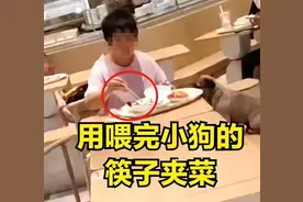 上海一餐厅内女子与狗共用筷子吃饭，商场回应图片