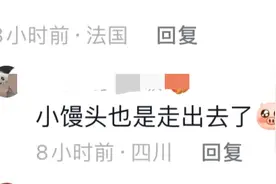 中国馒头参加了法国面包大赛！各路网友纷纷评论！笑不活了！图片