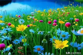 补什么不如补睡眠:深睡眠是提高睡眠质量的关键图片