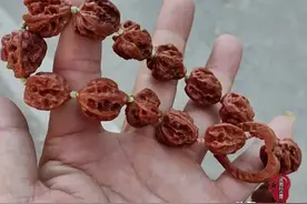 十大不建议入手的手串。图片