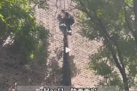 男子攀爬西安城墙被消防解救 景区曾多次呼吁保护城墙图片