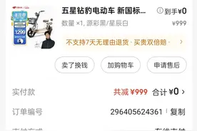 618入手999元的五星钻豹电动车（踩坑记之一）图片