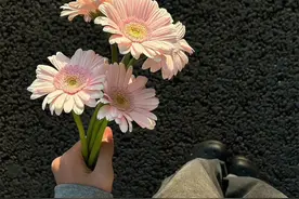 女性最舒服9种生活的方式图片