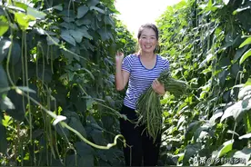 种植豆角、花生、大豆不能缺少它，只用一点点，产量翻一番很轻松图片