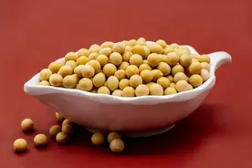 高尿酸不能吃豆和豆制品？把握这几点，可以吃！图片