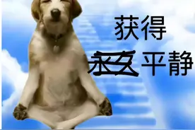 为什么 AMD 显卡公认性价比更高，但为啥却是叫好不叫座？图片