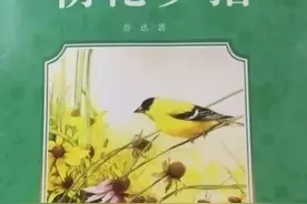 《朝花夕拾》思维导图图片