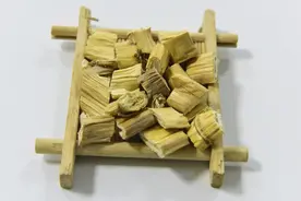 中医里有个不起眼的芦根，不仅能治小便问题，还能清热解毒图片