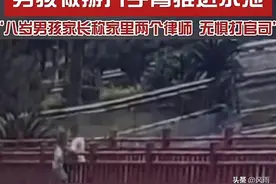八岁恶魔将五岁男童推入水中。家长:家中有两位律师，不惧打官司图片