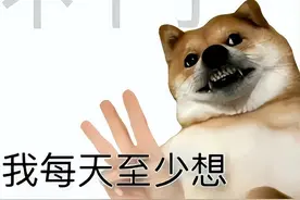 表情包|| 专为牛马打工人的准备的，别哭，很符合牛马人的心情！！图片