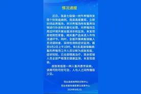 鲁抗医药：不止有“万金油”图片