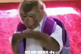 一夜之间“吗喽”占领了年轻人的生活圈，“吗喽”来自何方？图片