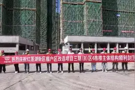 武汉新城红莲湖片区棚户区三期安置房项目全面封顶图片