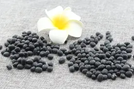 冬天养肾好时机，谨记三食三茶，不吃亏！图片