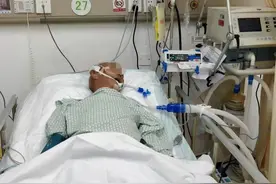 重庆大爷意外中毒，引起多个器官衰竭，凶手竟是香椿炒蛋？图片