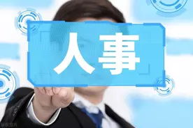 华发、大横琴“一把手”变动图片