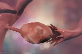 卵巢功能检查：哪些项目必不可少？图片