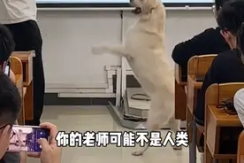 农业大学上课，拉老师一出场羡慕哭全网，网友：能不能强吻老师…图片