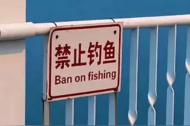 “上班别看！容易笑出声”图片