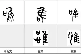 每日一字——唯图片