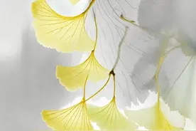 我是人间惆怅客。4首孤独诗词，细数寂寞就像一坛浓得化不开的酒图片