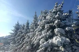 冰雪奇遇季！黑龙江省清河旅游风景区捧出冰雪盛宴图片