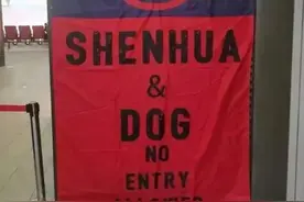 海港主场惊现侮辱性标语：申花与狗不得入内！上海德比又变味！图片