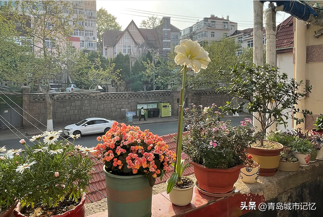 吴正中镜头下的青岛——历史与文化交融相汇的江苏路