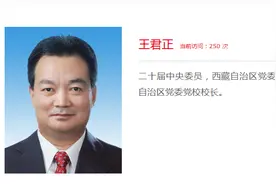 西藏自治区党委书记王君正，添新职图片
