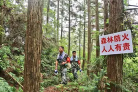 济南发布森林防火公开信：严禁露天焚烧垃圾杂草、携带火种进山图片