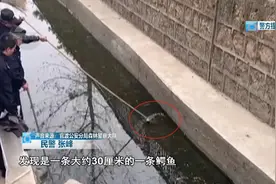小鳄鱼出逃！警察叔叔来了！图片