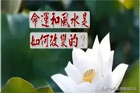 家人接连出现死亡现象，家族害了怕，急请风水先生看坟地：管用吗图片