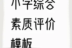 小学综合素质评价！最全填写模版来了图片