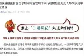 国家金融监督管理总局湖南监管局非银行机构检查处处长易文接受审查调查图片