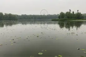 用好天上水→海绵城市达标率将达40%图片