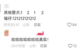 笑不活了，全国首只柯基警犬"福仔"巡街，网友：别惹它，关系户。图片