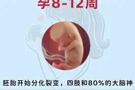 胎儿的四个猛长期，孕妈妈一定要知道图片