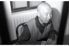 1995年，陕西逃犯带8岁儿子躲进秦岭，15年后被捕时：帮我找儿子图片