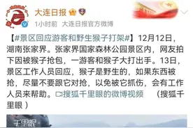 游客和猴子打起来了！知名景区回应图片