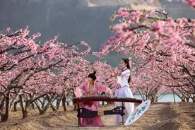 最美4月天，运城邀您共赴“花花世界”！图片