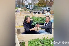 中国人在巴黎开荒种菜获市长特批，当地市长：中国人太勤劳了图片