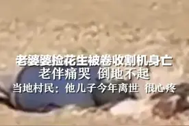 老婆婆捡花生被卷收割机身亡 老伴痛哭 倒地不起 当地村民:他儿子今年离世 很心疼图片